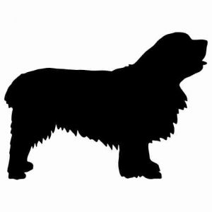 Aufkleber Hund Clumber Spaniel