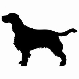 Aufkleber Hund Cocker Spaniel