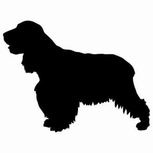 Aufkleber Hund English Cocker Spaniel