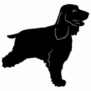 Aufkleber Hund English Cocker Spaniel 2