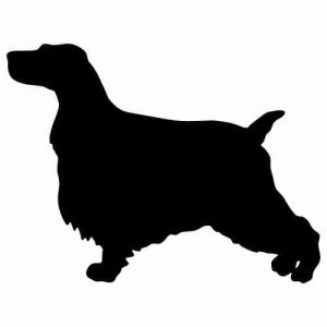 Aufkleber Hund English Cocker Spaniel 3