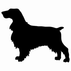 Aufkleber Hund Field Spaniel 2