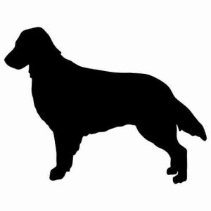 Aufkleber Hund Flat Coated Retriever 2