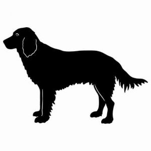 Aufkleber Hund French Spaniel