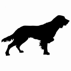 Aufkleber Hund French Spaniel 2