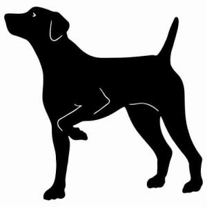 Aufkleber Hund Gun Dog 2