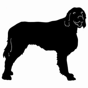 Aufkleber Hund Irish Setter 2