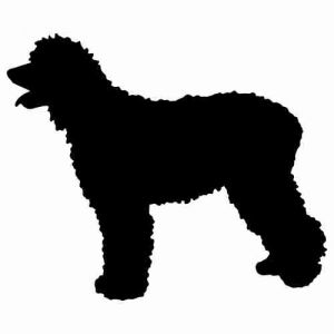 Aufkleber Hund Irish Water Spaniel