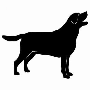 Aufkleber Hund Labrador Retriever 3