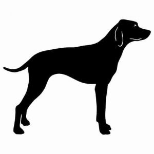 Aufkleber Hund Pointer