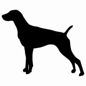 Aufkleber Hund Pointer 3