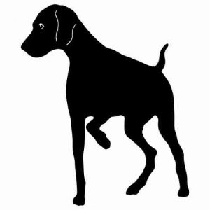 Aufkleber Hund Pointer 4