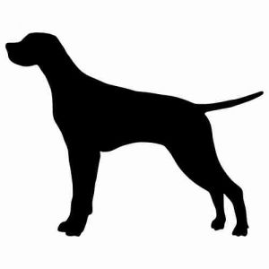 Aufkleber Hund Pointer 6