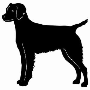 Aufkleber Hund Retriever 3