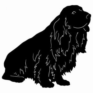 Aufkleber Hund Sussex Spaniel