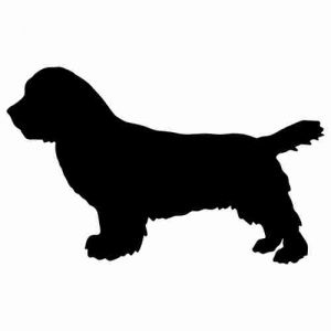 Aufkleber Hund Sussex Spaniel 2