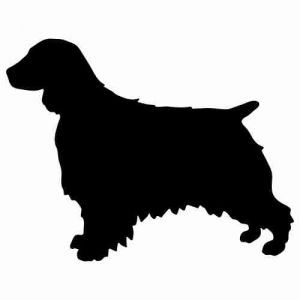 Aufkleber Hund Welsh Springer Spaniel 2