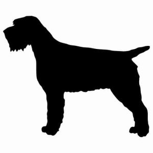 Aufkleber Hund Wirehaired Pointing Griffon