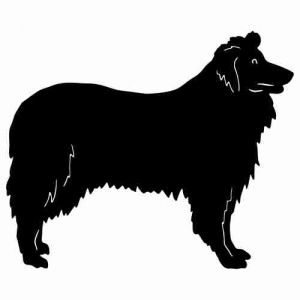 Aufkleber Hund Rough Collie