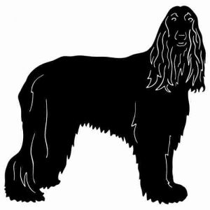 Aufkleber Hund Afghan Hound