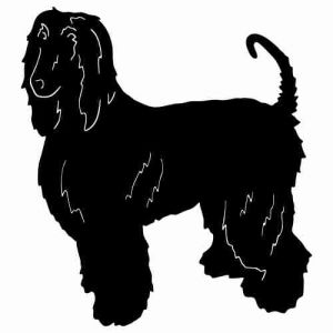 Aufkleber Hund Afghan Hound 2