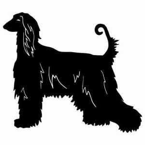 Aufkleber Hund Afghan Hound 3