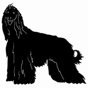 Aufkleber Hund Afghan Hound 4