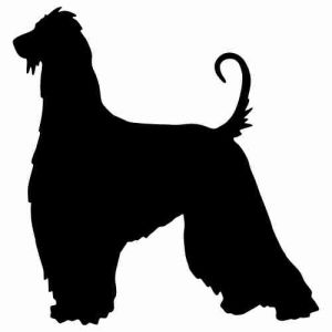 Aufkleber Hund Afghan Hound 5