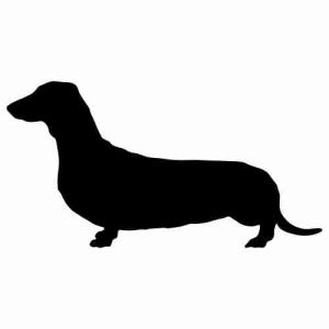 Aufkleber Hund Dachshund