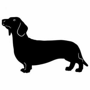 Aufkleber Hund Dachshund 6