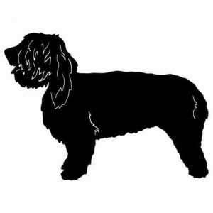 Aufkleber Hund Grand Griffon Vendeen