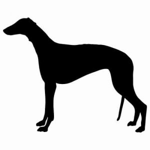 Aufkleber Hund Greyhound