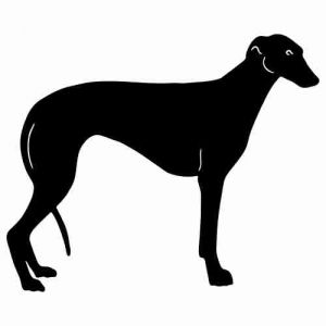 Aufkleber Hund Greyhound 5