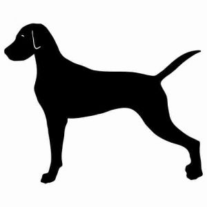 Aufkleber Hund Hound 36