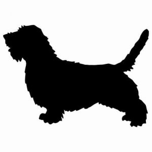 Aufkleber Hund Petit Basset Griffon Vendeen 2