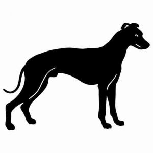 Aufkleber Hund Whippet 2