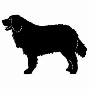 Aufkleber Hund Burmese Mountain Dog