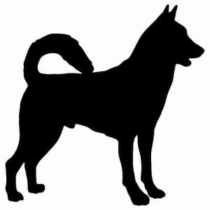 Aufkleber Hund Canaan Dog 2