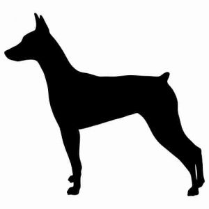 Aufkleber Hund German Pinscher