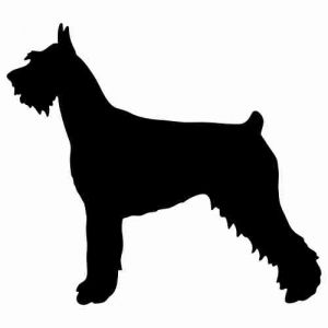 Aufkleber Hund Giant Schnauzer