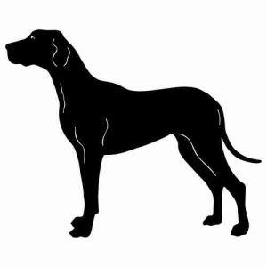 Aufkleber Hund Great Dane 3