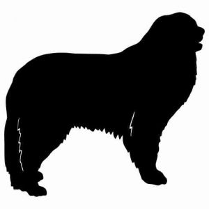 Aufkleber Hund Pyrenean Mountain Dog