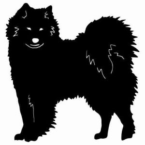 Aufkleber Hund Samoyed 2