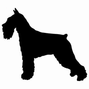 Aufkleber Hund Standard Schnauzer