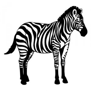 Folienaufkleber Tiermotiv Zebra 02