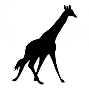 Folienaufkleber Tiermotiv Giraffe 01