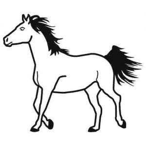 Aufkleber Tiermotiv Pony