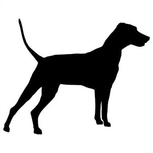 Aufkleber Hund German Pinscher 02