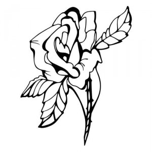 Folienaufkleber Pflanzenmotiv Rose 05