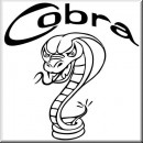 Folienaufkleber Tiermotiv Cobra 03